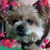 Melissa Marie Moit's profile image