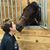 Vicki Kern's profile image