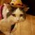 Faith Benassi's profile image