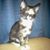 Kathy Roby's profile image