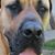Angie Umstead's profile image