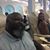 Denard A. Mitchell Sr.'s profile image