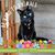 Barb Balk's profile image