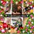 Lucy Gonzalez Mochizuki's profile image