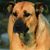 Donna Pemmitt's profile image