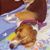 Jesus De los Rios's profile image