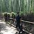Michael Pham's profile image