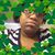 Latoya Franklin's profile image