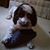 Ann-Marie Christopher's profile image