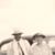 Ruth Rosenbaum's profile image