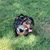 JeffreyandMichelle Trivett's profile image