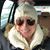 Karen Cerasa Dotson's profile image