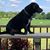 Dawn Davenport LaLonde's profile image