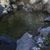 Grania Chaplin's profile image