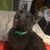Steve Gavorcik's profile image