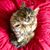 Robin McNeil's profile image