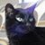 Kathryn K Wenberg's profile image