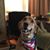 Patti R Volzing's profile image