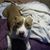 Deric Debraccio's profile image