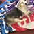 Alesia G. Wiles-Schuch's profile image