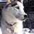 Barb Ryniec's profile image