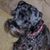 Kate Owen's profile image