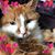 Morgan Knight's profile image