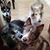 Nichole Severinsen's profile image