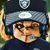 Sigi Del Rio Maldonado's profile image