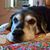 Christopher Wielis's profile image