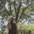 Mafer Mamani Gundermann's profile image