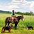 Laura Hark-Plumley's profile image