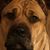 Gina Wesseldyke's profile image