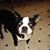 Pat Mcnary's profile image