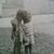 Kathy Stocker-Kosse's profile image