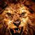 Leandro Andres's profile image