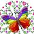 SuzAnne Shaneyfelt's profile image