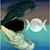 Shelly Eaton's profile image