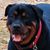 Linda DuChemin Olsen's profile image