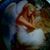 Nancy Swanson's profile image