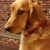 Kathy Coates Duffy's profile image