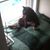 Ann Herbig's profile image