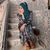 Fadoua Errichi's profile image