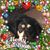 Denise Butterworth McMillan's profile image