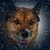 Tammy Underwood's profile image