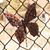 Christy Calderwood's profile image