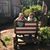Susie Woodward's profile image
