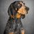 Shannon Callis's profile image