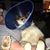 Marsha Brewer's profile image