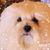 Hermes Socrates's profile image